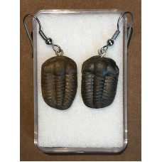 Naušnice z trilobita